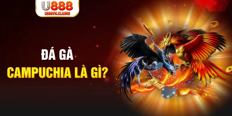 link m88 máy tính online casino