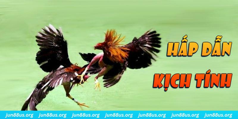 link m88 đăng nhập sòng bạc dễ thắng