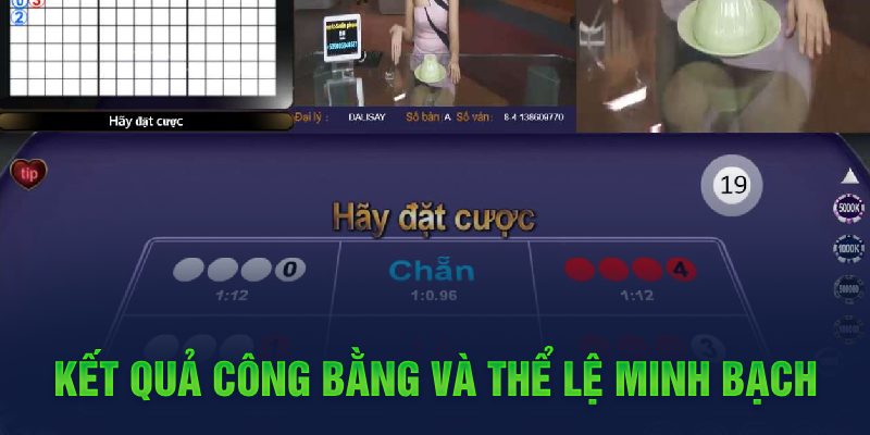 link m88 đá gà 67