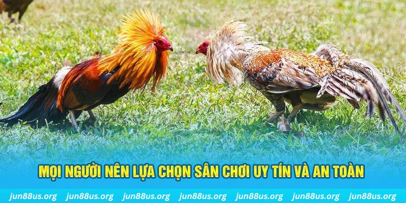 link m88 Giành Chủ Bull Bull