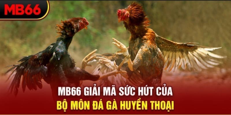 link m88 Long Hổ 2