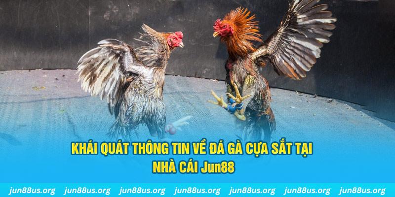 link m88 game đánh bài đổi thẻ điện thoại trên máy tính