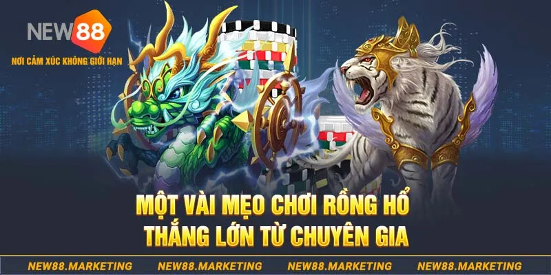 link m88 trực tiếp đá gà thomo