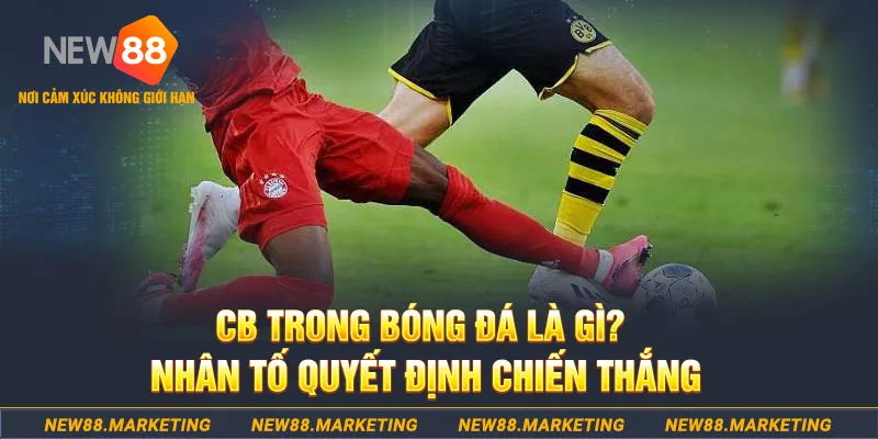 link m88 cá cược bóng đá là gì